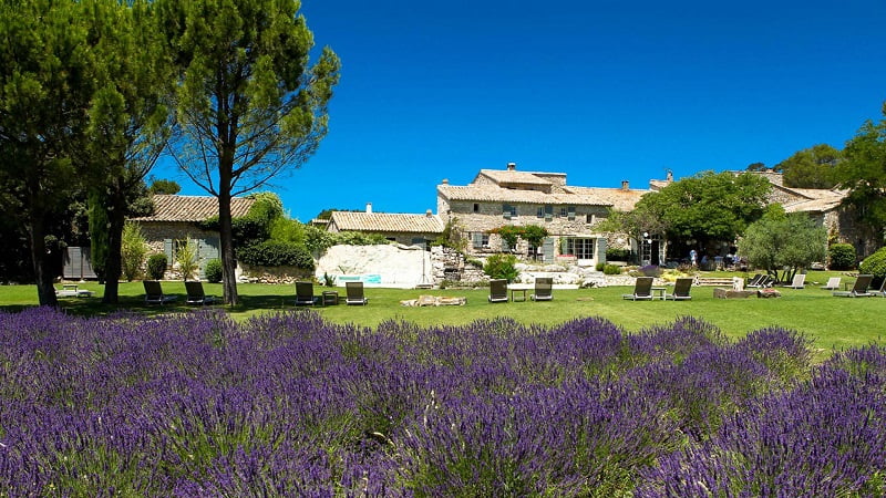Mas de la Rose wedding venue in Provence lavender