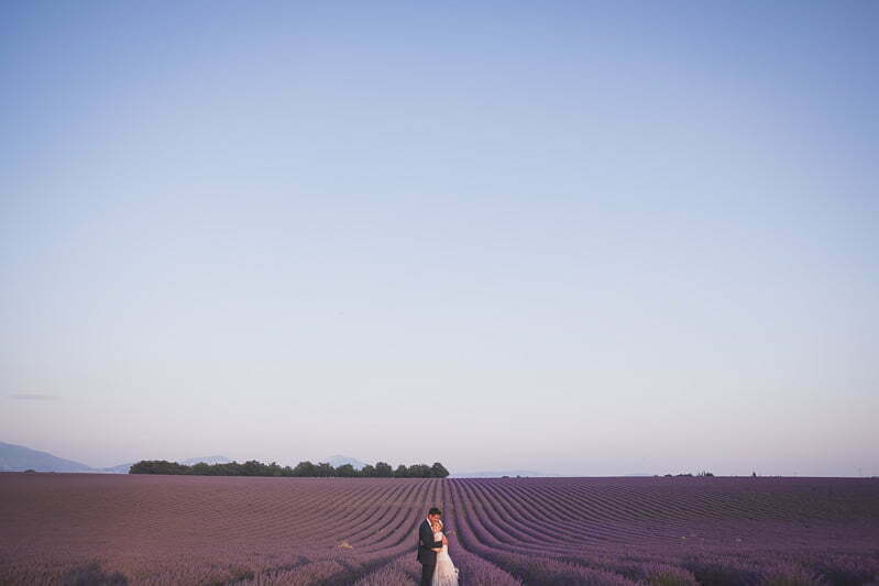 Provence Lavender fields couple family photo session 3299