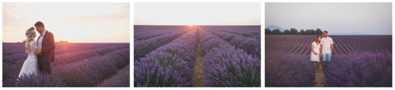 Lavender family proposal photo valensole provence